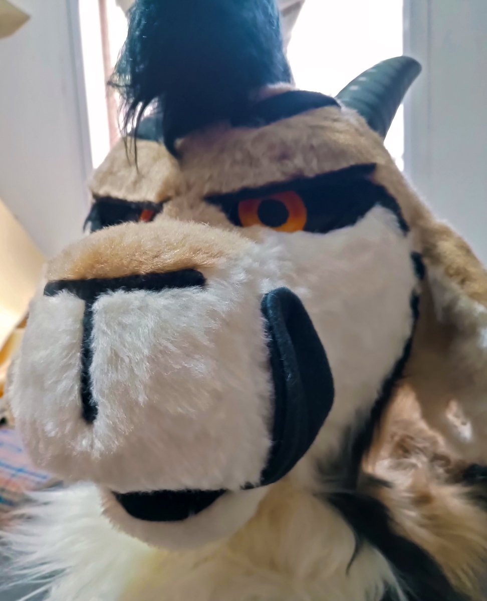 theruskyfactory's tweet photo. Compilación de los últimos suits que hice! 🪡 🧵

#FursuitFriday #Fursuit https://t.co/FenIfpOFLW