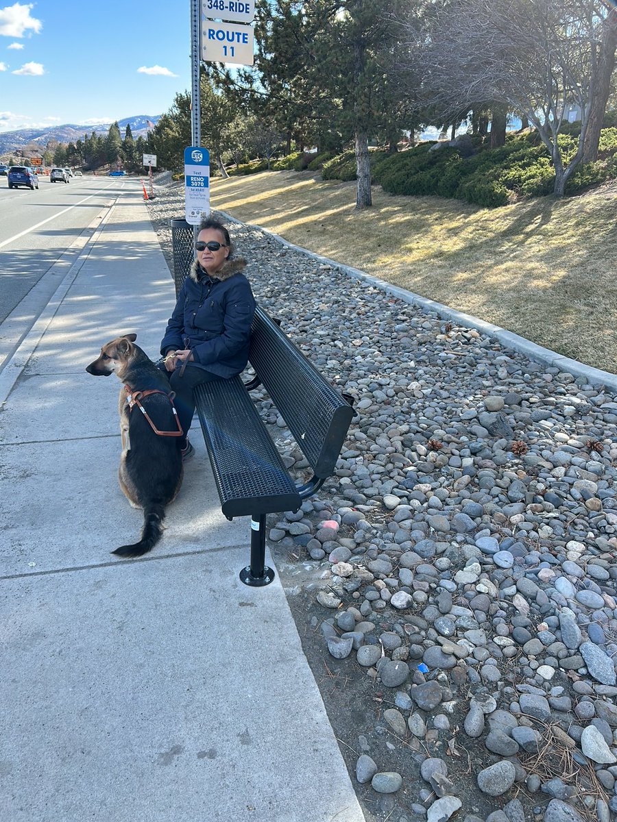 Dora Uchel tweet media