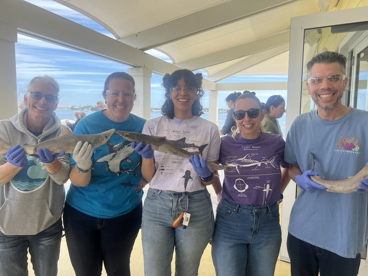Mrs. E. Fahy, NBCT (@elizfahy1) on Twitter photo Today was a great day for the <a href="/NewRiverMiddle/">New River Middle</a> marine teachers as we learned from the fabulous Guy Harvey Foundation team. New River is looking forward to becoming a Guy Harvey Conservation school for 2024-2025! <a href="/GuyHarveyOcean/">Guy Harvey Foundation</a> <a href="/ManateeLagoon/">ManateeLagoon</a>
#lovetheblue Today was a great day for the <a href="/NewRiverMiddle/">New River Middle</a> marine teachers as we learned from the fabulous Guy Harvey Foundation team. New River is looking forward to becoming a Guy Harvey Conservation school for 2024-2025! <a href="/GuyHarveyOcean/">Guy Harvey Foundation</a> <a href="/ManateeLagoon/">ManateeLagoon</a>
#lovetheblue