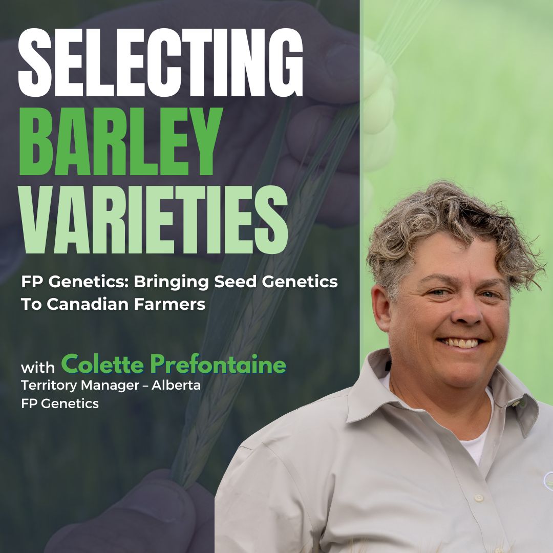 This week on #ProductSpotlight, <a href="/TracyMBrunet/">Tracy Brunet</a> chats with Colette Prefontaine of FP Genetics about the latest in barley seed varieties. Learn how they benefit Canadian farmers &amp; how <a href="/FPGenetics/">FP Genetics</a> provides support for their farm operations. 

🎧📹farmmarketer.com/product-spotli…

#FPGenetics