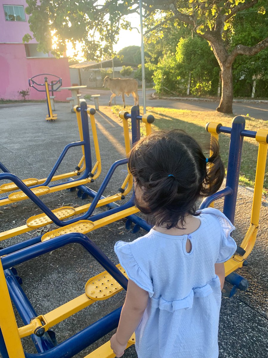 Alexandre Tso tweet media