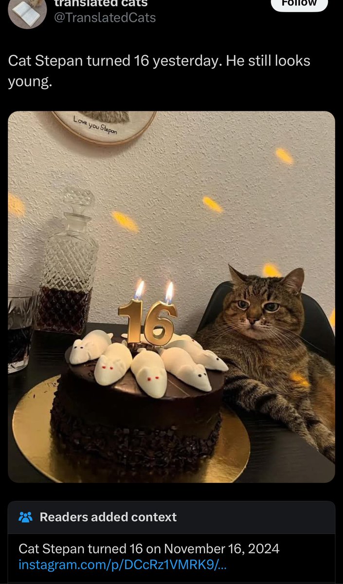 Lying about animals’ birthdays should be criminal 😤