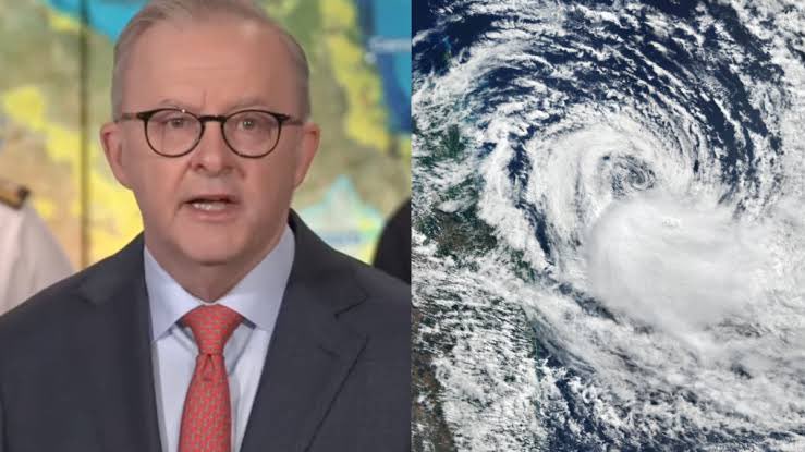 katy 🌸 tweet media