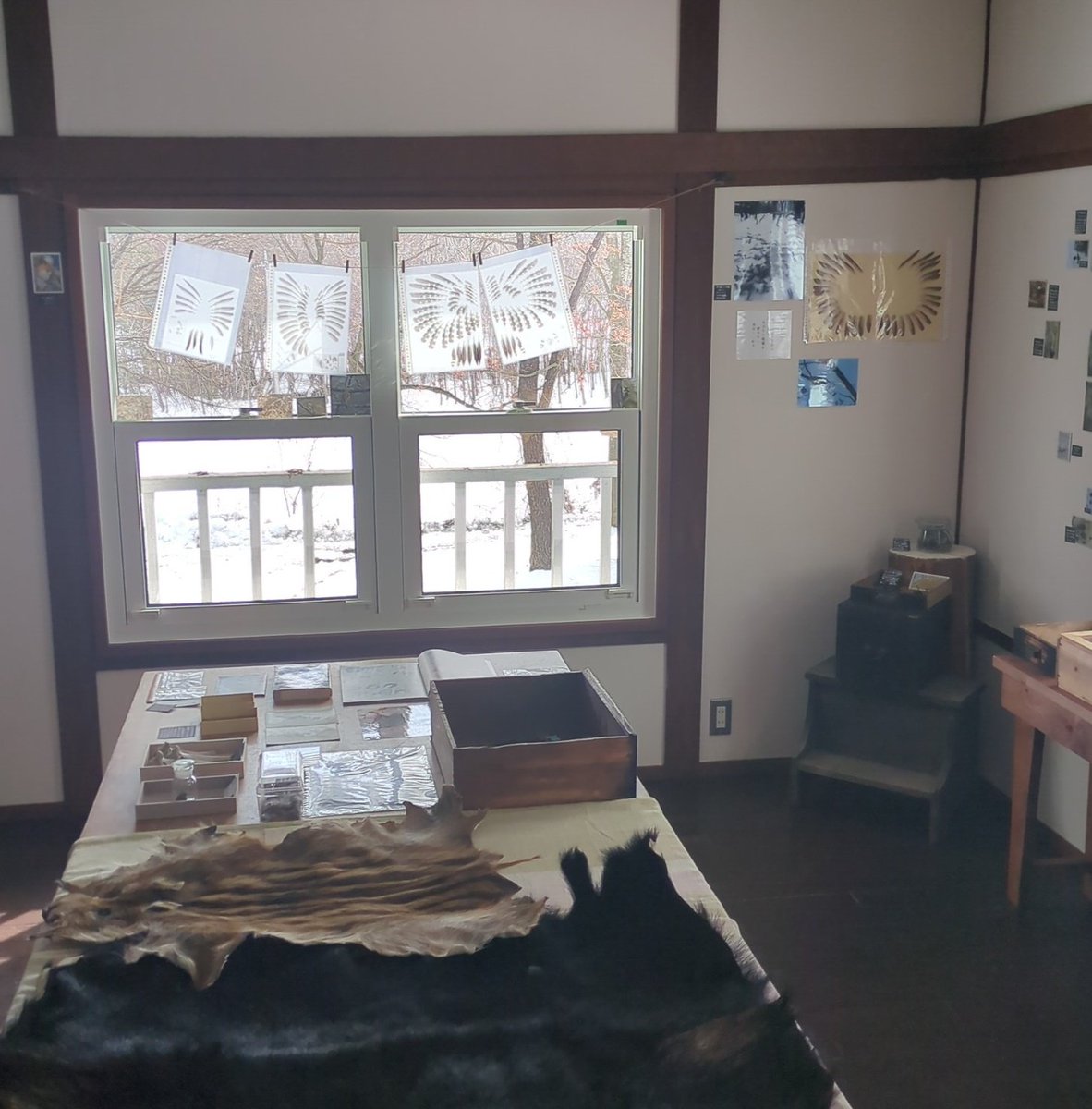 luomu1920's tweet photo. 企画展『狩猟にまつわるエトセトラ展2025』は明日、3/9（日）まで！
北軽井沢ルオムの森、百年の洋館2階。入場無料 https://t.co/25lDha88PV
