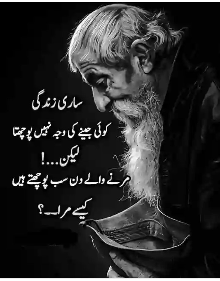 MuhammadYo43586's tweet image. 