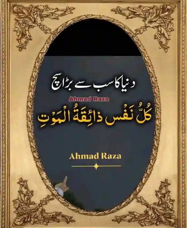 MuhammadYo43586's tweet image. 