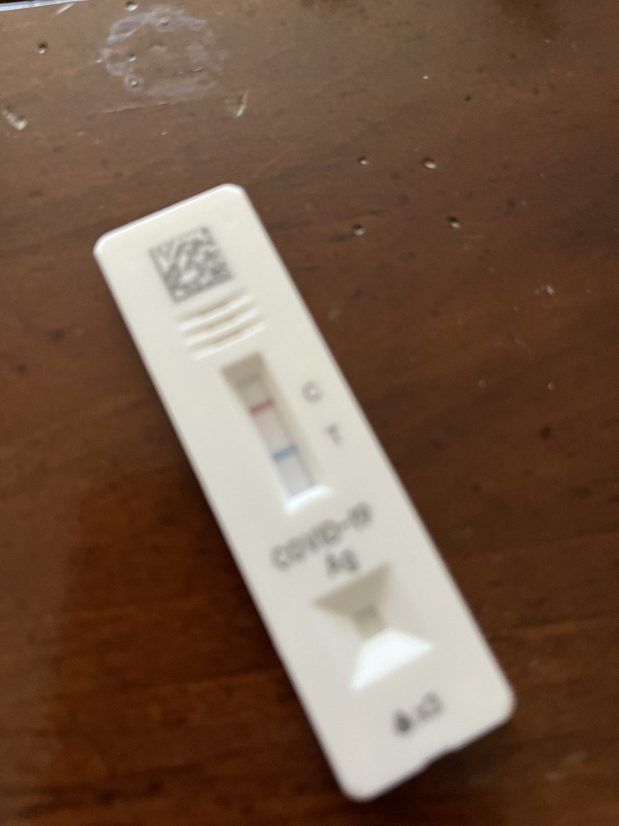 Indi🍉 tweet media