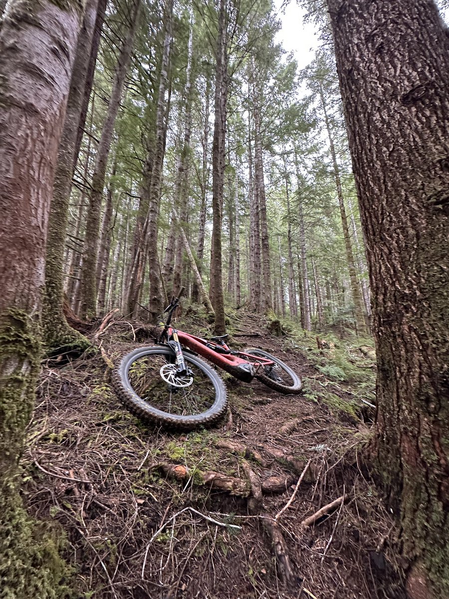 Forks, Washington Trails #mtb #trails #outdoors