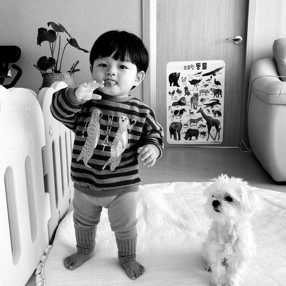 vilecodes's tweet image. ⠀

message to @Feathury
: sent a picture.
: an update for baby momma, he's already eaten.
: and is currently playing with his nanny.
: my mom will come this evening and took him to grocery shopping. I'll sent you another picture later on.

Sent.

⠀