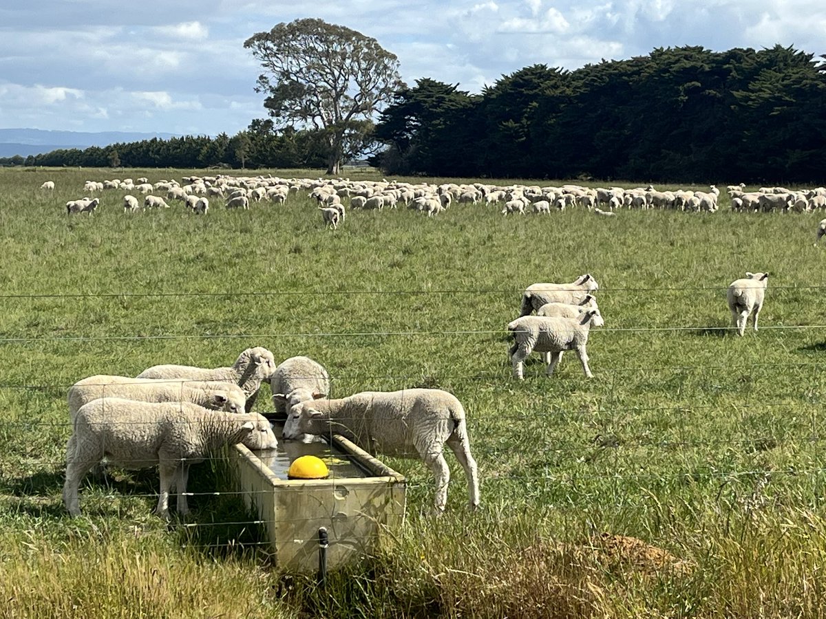 Just heard a really good Motto/ saying 
“You can’t control the wind but you can adjust the sails”