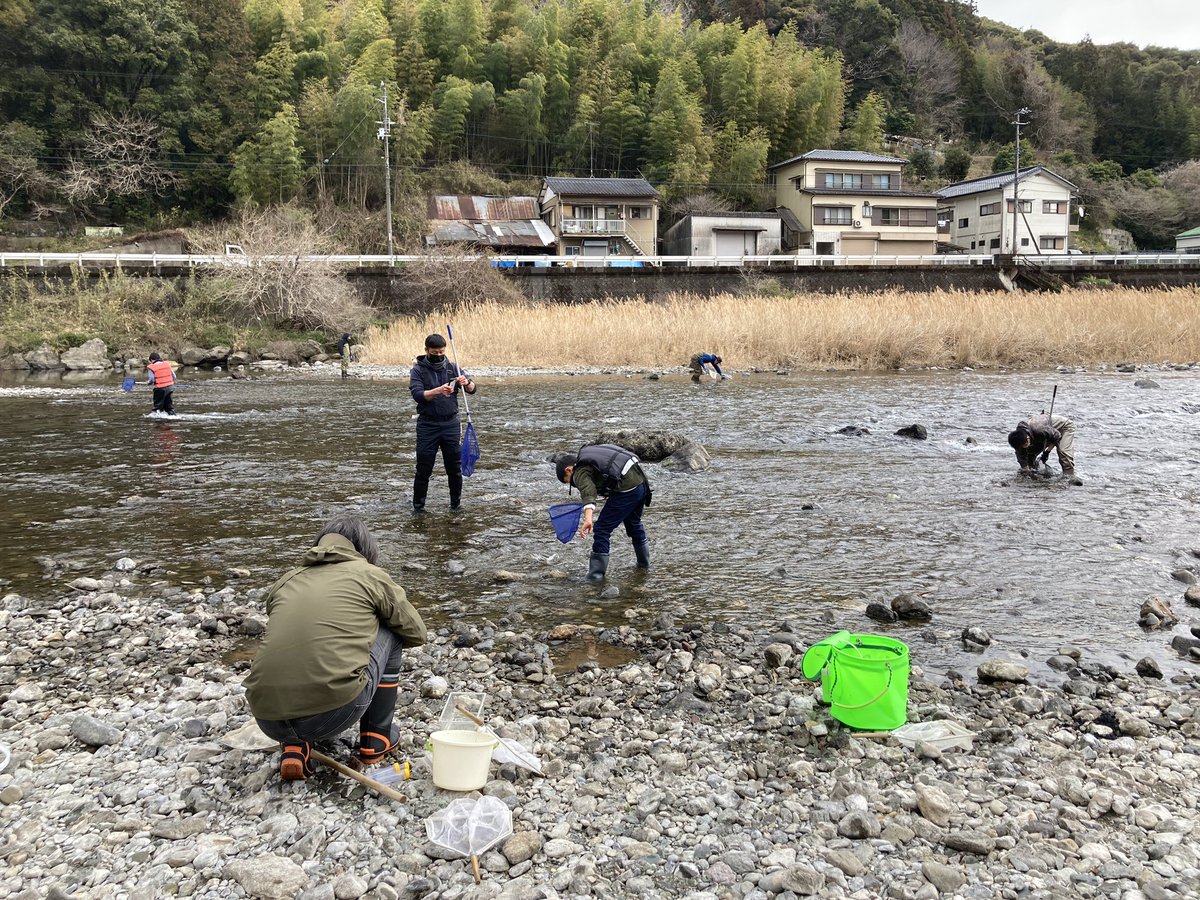 今日は「高知いきもの調査隊」の観察会。高知市鏡川で水生昆虫の採集中です。水温6.5℃ですが、みなさん元気に採集しています。