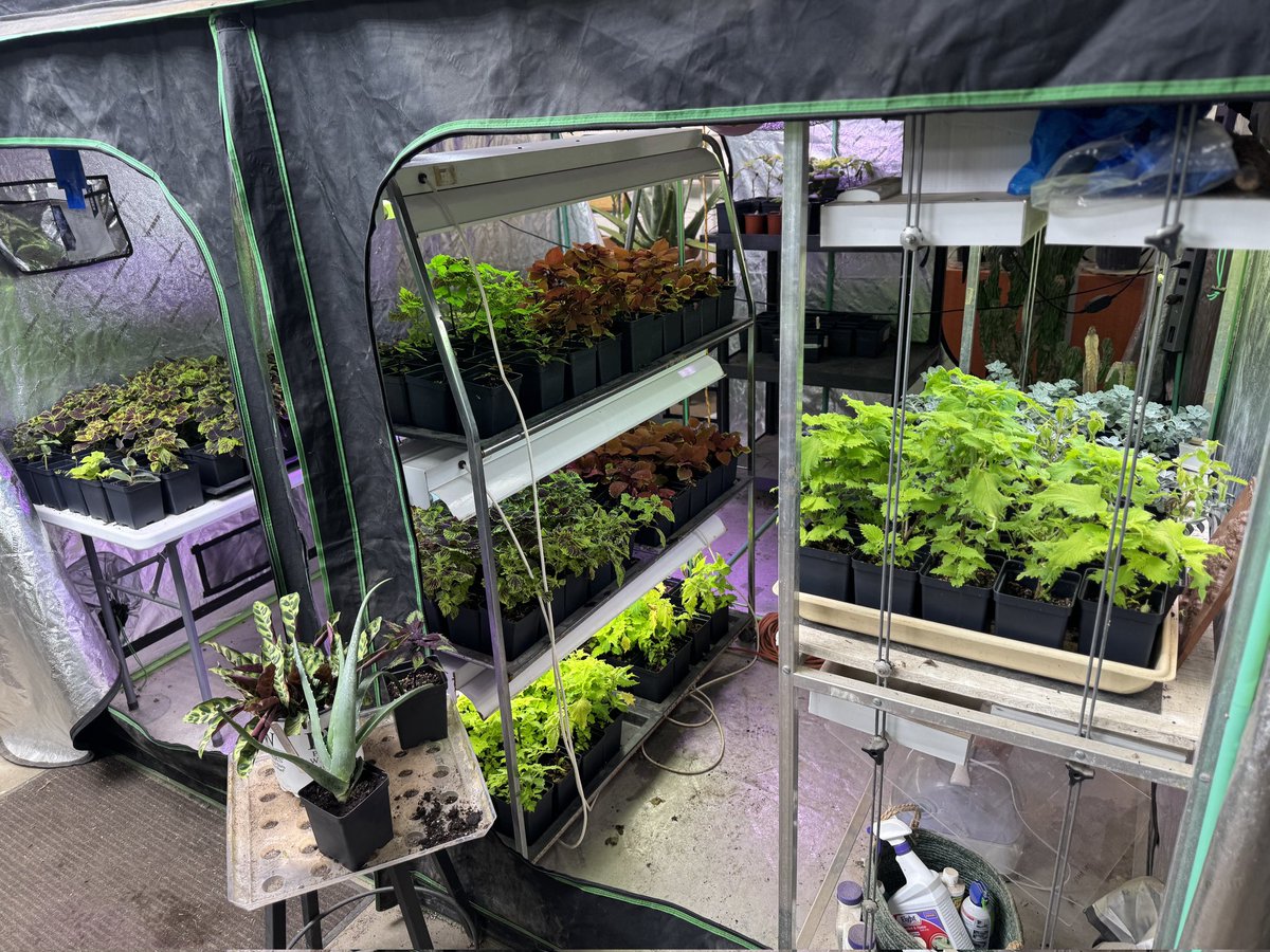 Forestry and Environmental Studies students working on planting for a mother's day sale! @kentschools <a href="/CFHS_Counseling/">CFHS Counseling Dept</a> <a href="/THSCounselors/">Tallmadge Counselors</a> <a href="/WoodridgeWHS/">WoodridgeHighSchool</a> <a href="/HudHSGuidance/">Hudson HS Guidance</a> <a href="/SMFHScounseling/">SMFHS Counseling</a> <a href="/sixdistrictCTE/">Six District Educational Compact</a> <a href="/hudsonohschools/">Hudson City Schools</a> <a href="/SMFSchools/">SMFSchools</a> <a href="/KentOhio/">Kent Ohio Community</a>