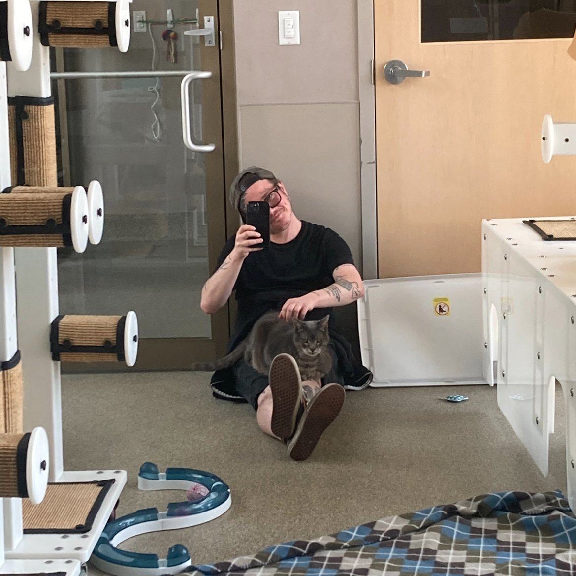 TreeHouseCats's tweet image. 🐾 Celebrating Employee Appreciation Day with #TeamTreeHouse! 🐾
#TreeHouseCats #EmployeeAppreciation #StaffAppreciation #Cats #AnimalWelfare #VetMed #AnimalShelter #Chicago