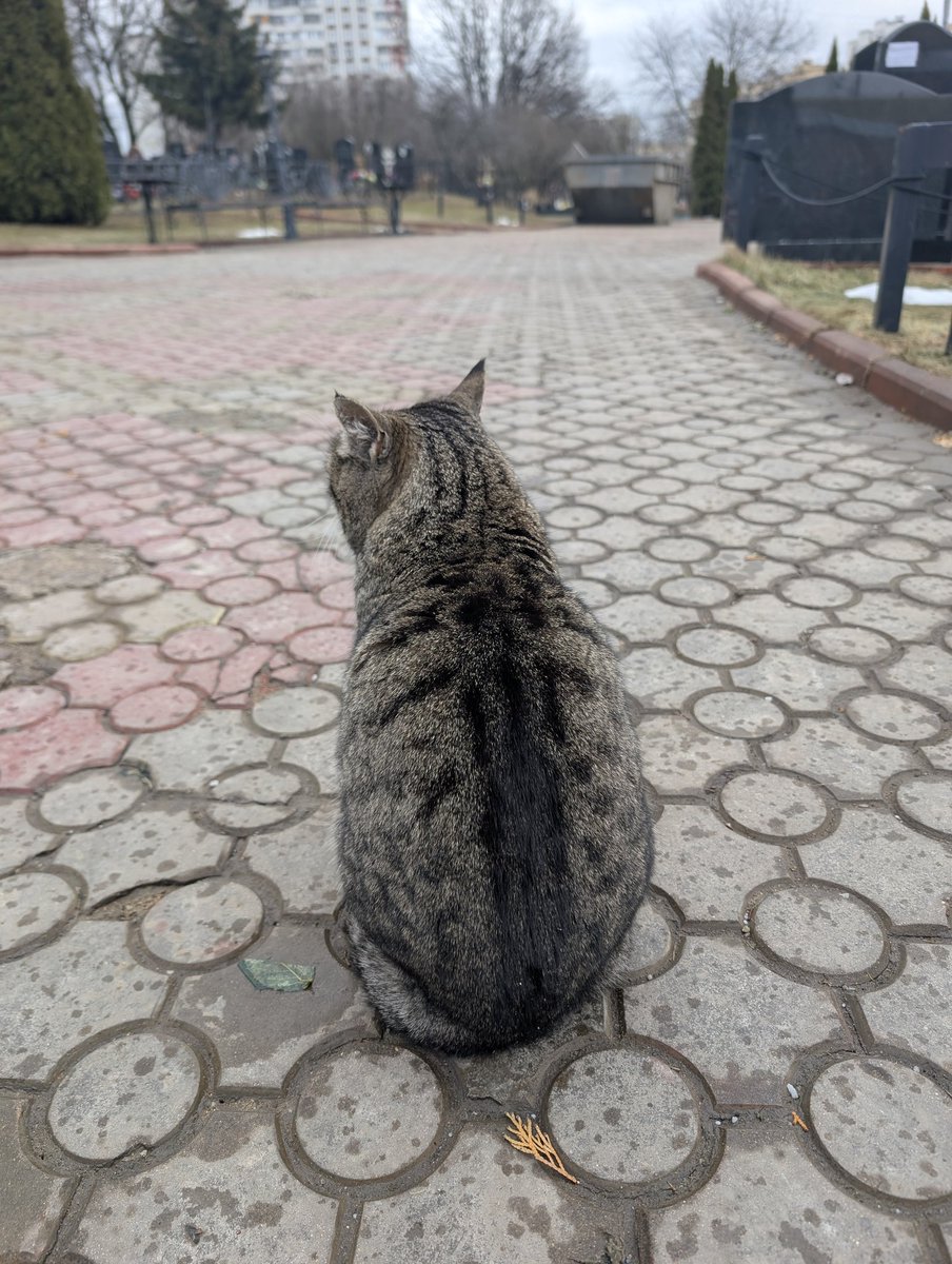 Навещали Лёху на днях. Футурама радостно пришла встречать. Какая же она классная.