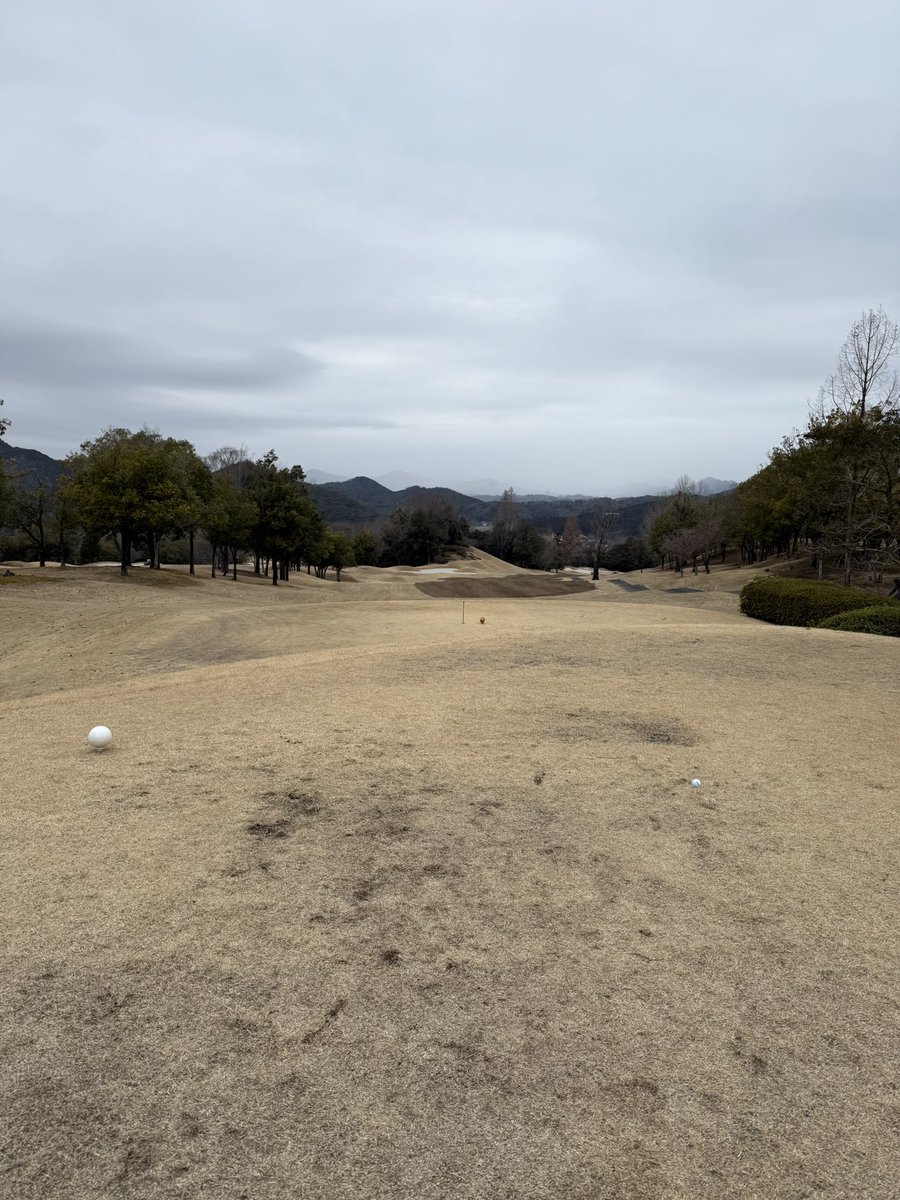 LxxTiro's tweet photo. 雪がちらつくゴルフ

さくらもちの温もりが欲しいと思いながらカイロを握りしめる( ; ; )

#コザクラインコ
#さくらもち https://t.co/eN4qntmTHu