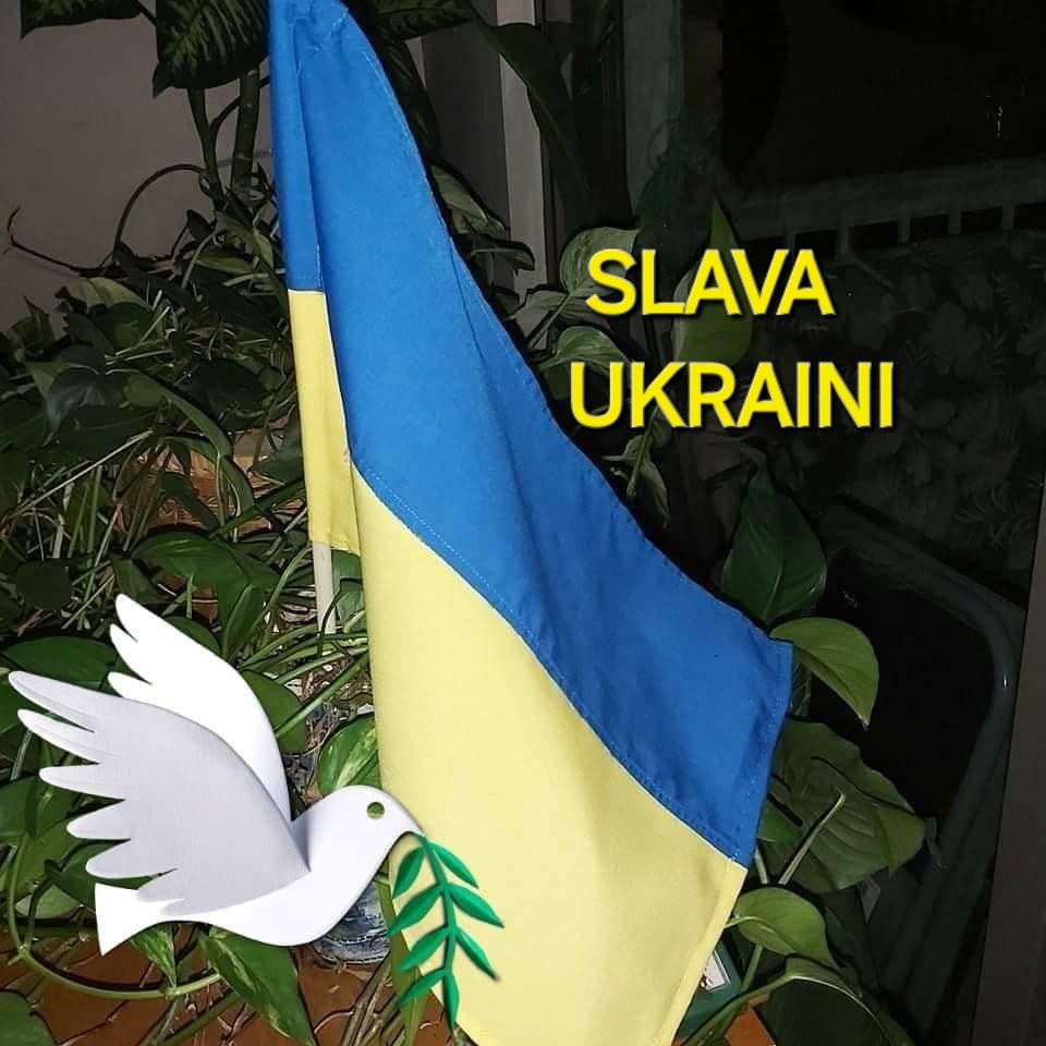 LynnPerrin9's tweet photo. @ZelenskyyUa 💛💙🇺🇦 https://t.co/lD2sxxZH55