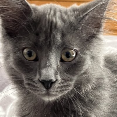 INPRUSTWETRUST's tweet photo. #NewProfilePic https://t.co/z0Nbvd8z55
