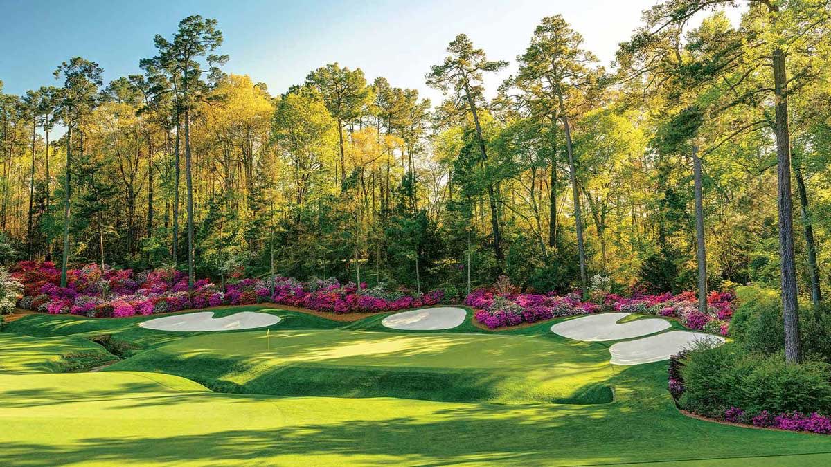 Tour Pro 🏌️♂️ tweet media