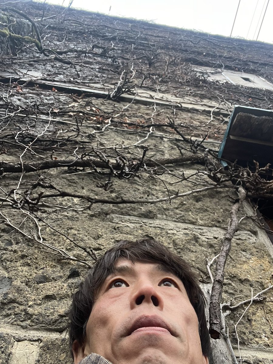IKITETAI's tweet photo. はい！山に入ってまた東京へそして今日は18歳の���に体験した「春の祭典」ローザンヌ国際バレエコンクールのあの頃を振り返り、それを振り渡すというそんな単純なクラスではない！っと断言だけしてアーキタンツ16:45-18:15お待ち申しあげます！ https://t.co/E51TztQkVk