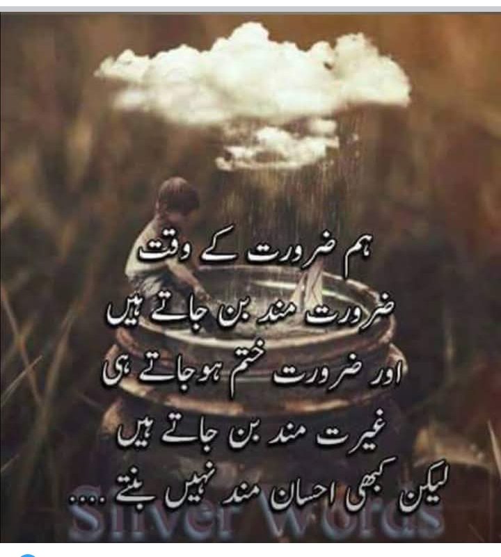 MuhammadYo43586's tweet image. 