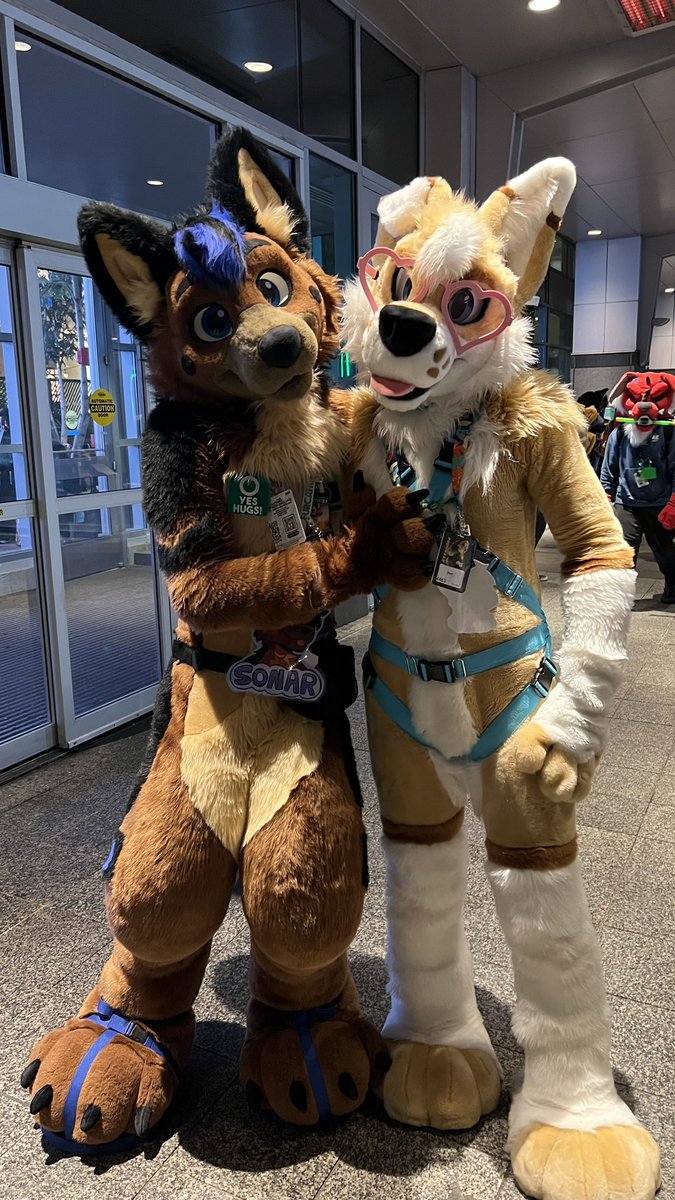 Oohhh boy! Look who I found!? Look at this good puppet right here, isn’t he super cute! Hope you all have a great weekend! (P.S you should check me out on Bluesky!) 😋
#FursuitFriday #Furry #FursuitEveryday 
🐶: <a href="/ReefRuff/">Reef 🏝️</a> 
🐶: Me
🪡 <a href="/WildDogWorks/">WildDogWorks.com on 🦋</a>