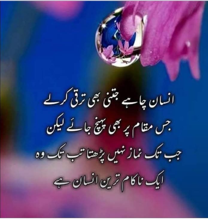 MuhammadYo43586's tweet image. 