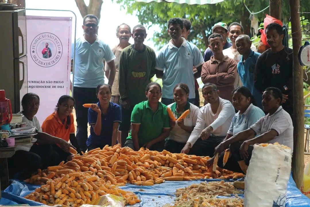 FFspdd's tweet image. Atividade de colheita de milo na área de demonstração nas terras de montanha permanente, em Dare.

Corn harvesting activity in the demonstration area on the permanent mountain lands, in Dare.