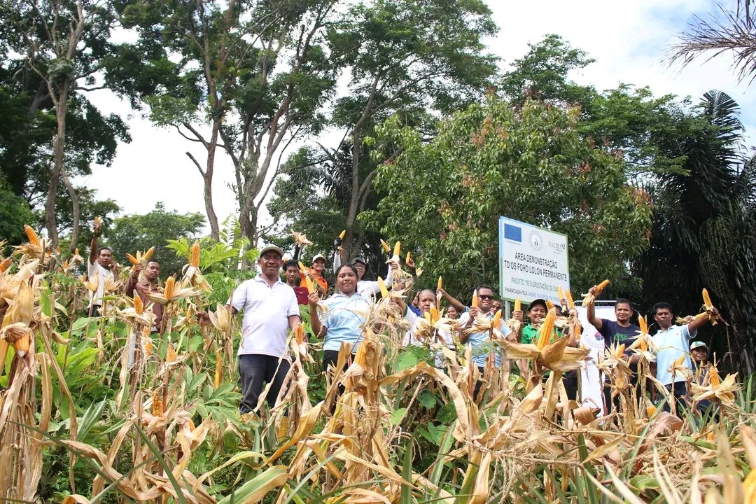 FFspdd's tweet image. Atividade de colheita de milo na área de demonstração nas terras de montanha permanente, em Dare.

Corn harvesting activity in the demonstration area on the permanent mountain lands, in Dare.