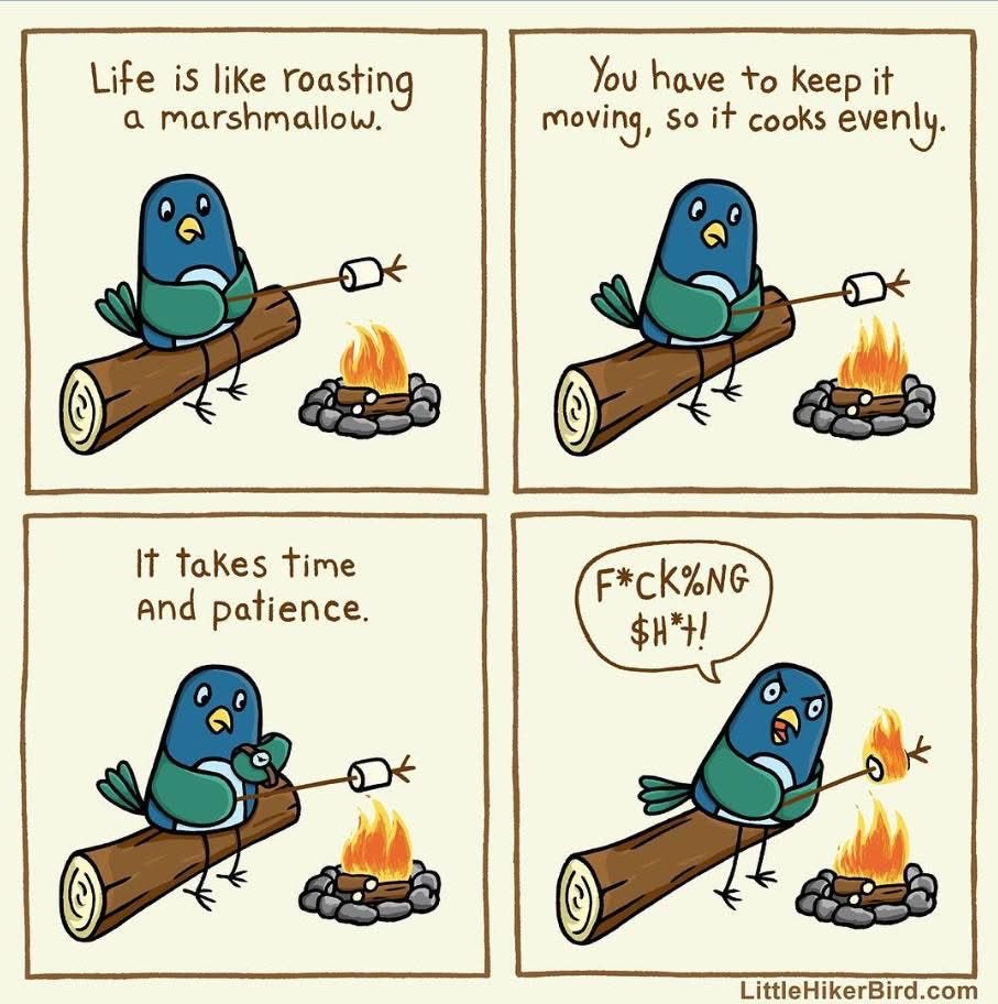 RachelDNurse's tweet photo. I am kind of obsessed with the perfect marshmallow 😅 https://t.co/LKSRXfKQfq