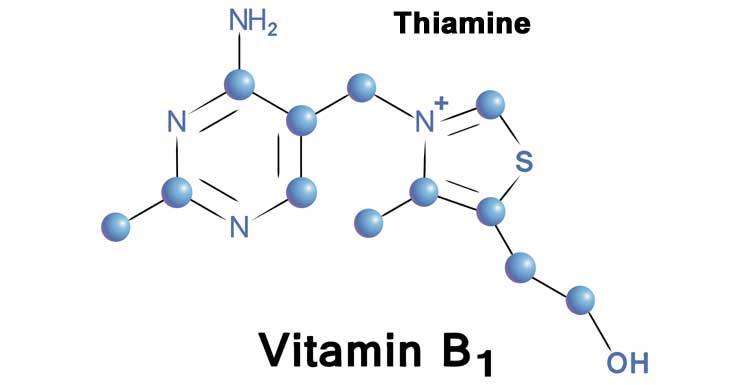 High Dose Thiamine Basic Guide: Principles &amp; guidelines of this therapy

What is thiamine?

Thiamine (aka vitamin B1) is an essential water-soluble vitamin that plays a crucial role in how cells make energy. It is also very important for how nerves send messages throughout the