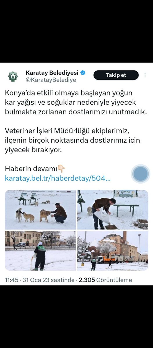 Yusufalakk's tweet photo. Daha iki yaşında olan kız evladımız Konya Karatay belediyesinin sokaklarda beslediği itler yüzünden parçalanarak öldü.

#HasanKılcaTutuklansın https://t.co/ftDxt7uRmh