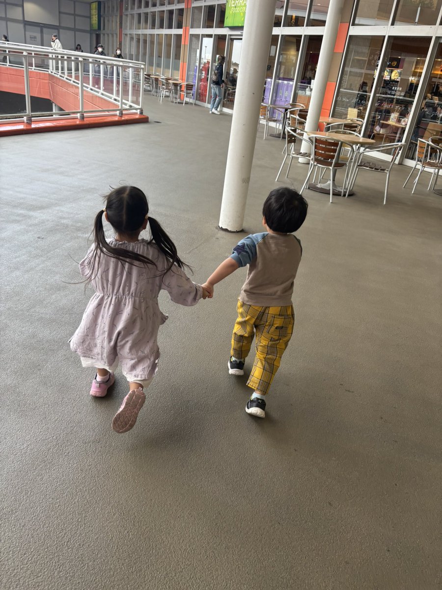 n_______7gs's tweet photo. 最近のうちの子掲載 https://t.co/GIs7l9cMrq