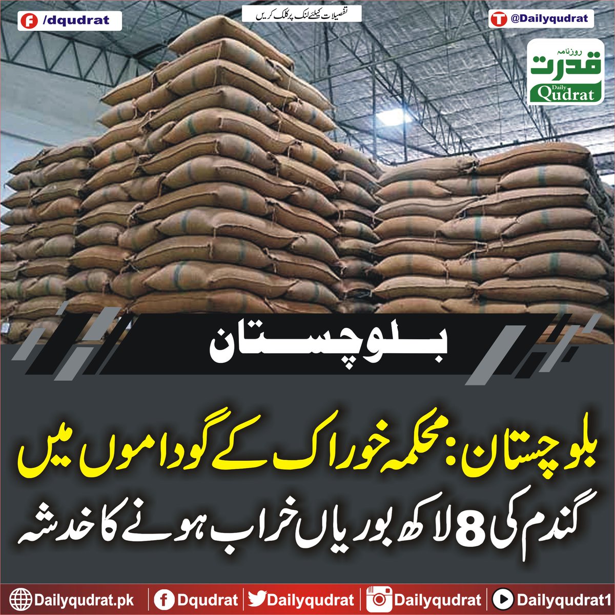 DailyQudrat's tweet image. بلوچستان: محکمہ خوراک کے گوداموں میں گندم کی 8لاکھ بوریاں خراب ہونے کا خدشہ
dailyqudrat.pk/335728/
#sacks #wheat #feared #spoiled #food #department #godowns #Karachi #Balochistan #Dailyqudratnews #Dailyqudrat #quettanews #Quetta #Pakistan #Worldcup #championstrophy