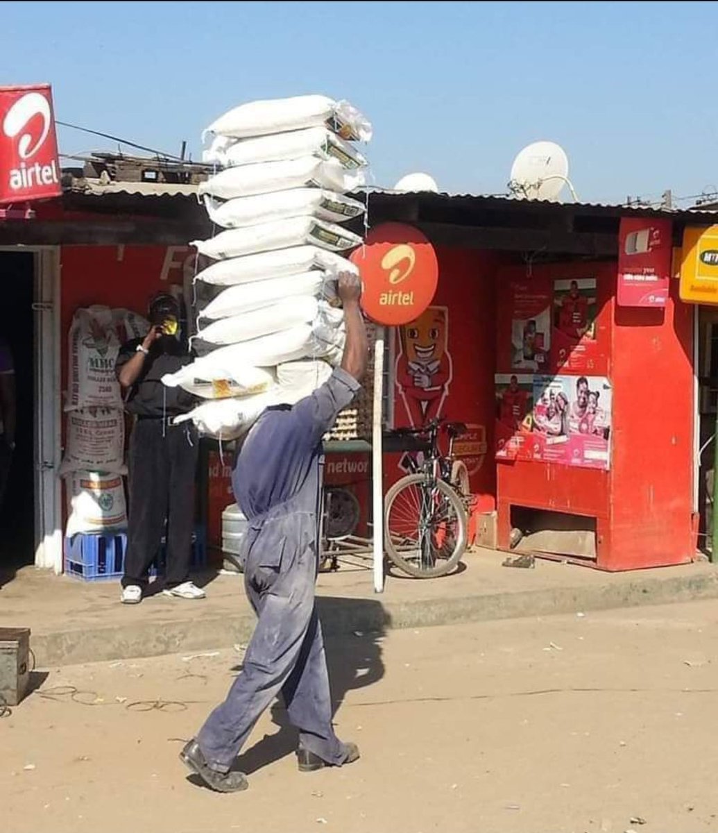 Shi Mutale🇿🇲 tweet media