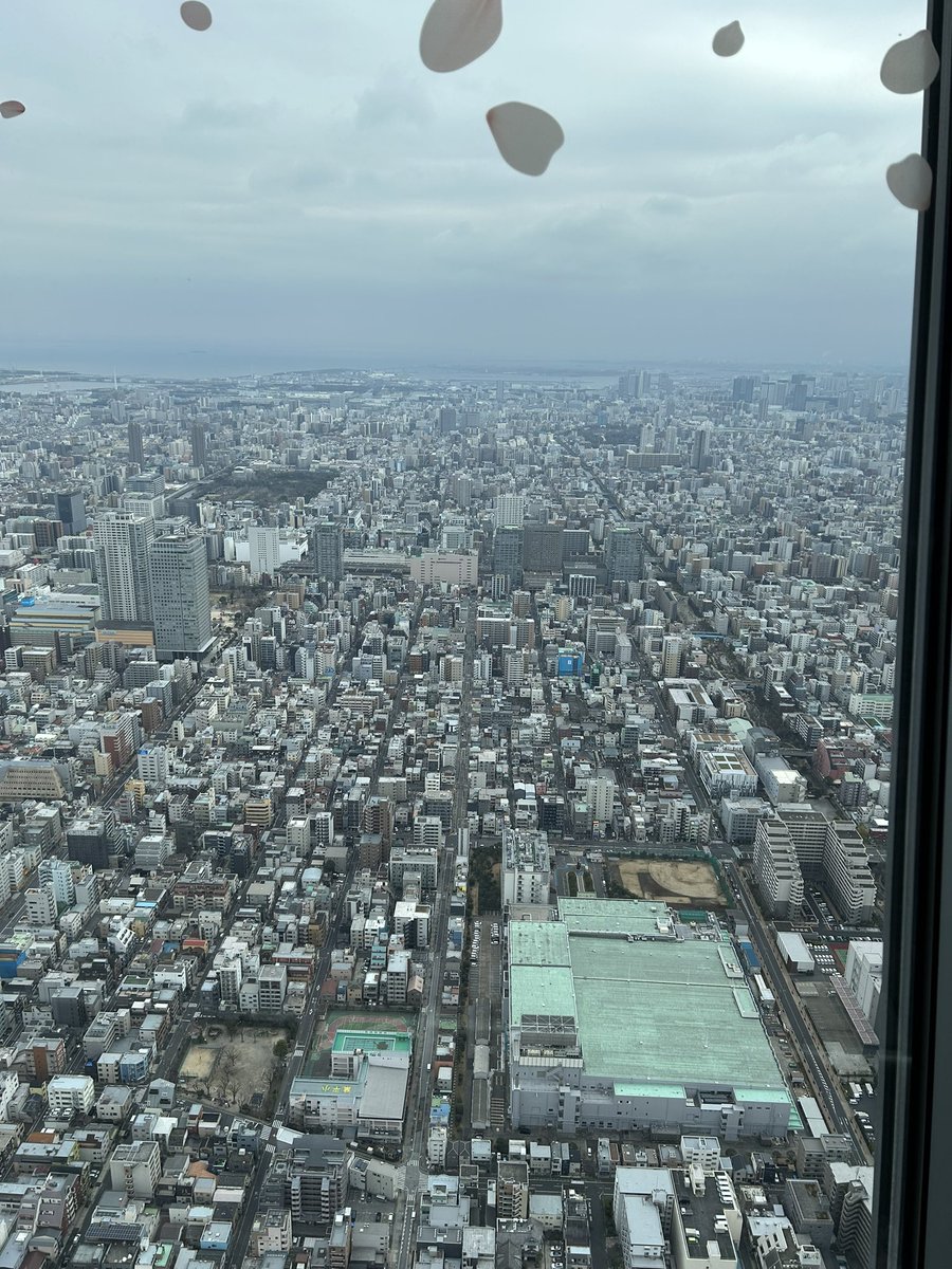 hanmenohito's tweet photo. たくみいる？ https://t.co/VUrm4LSjmZ