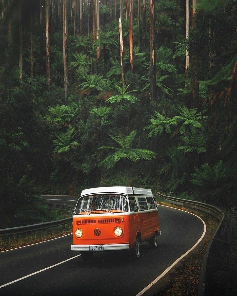 Amazing Nature (@amazingpicshq) on Twitter photo 
