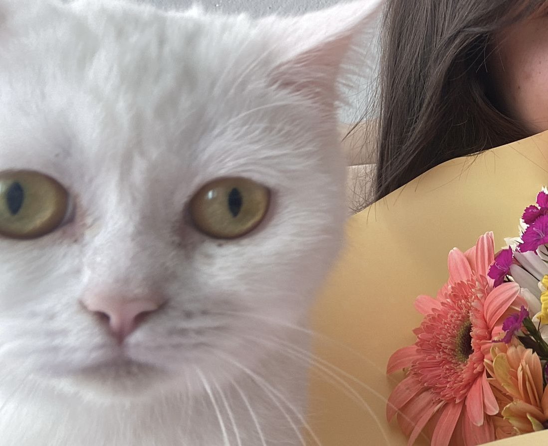 İlk defa çiçek almışımdır