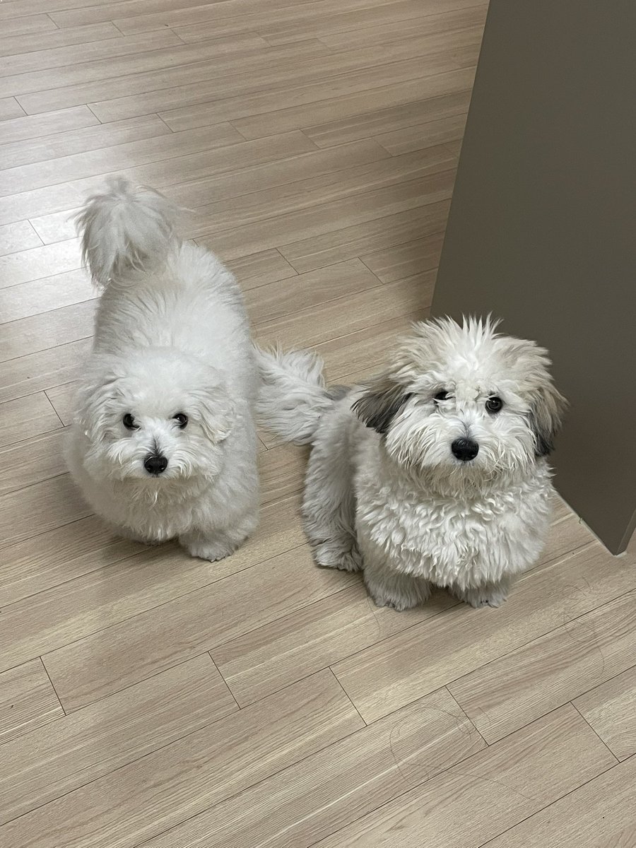 아이고! 뭘 달라고 온 거니!