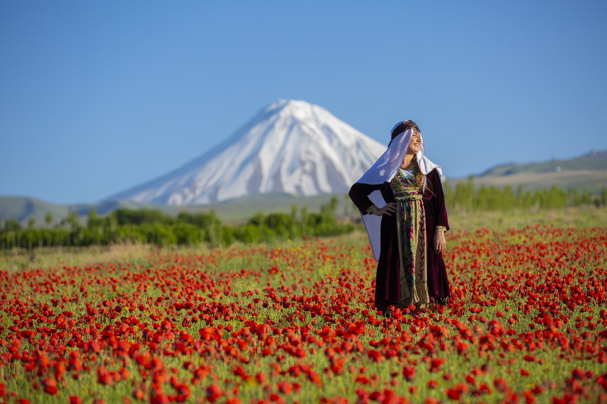 Kadınlar Günü Kutlu Olsun.
Küçük Ağrı Dağı/Gelincikler.