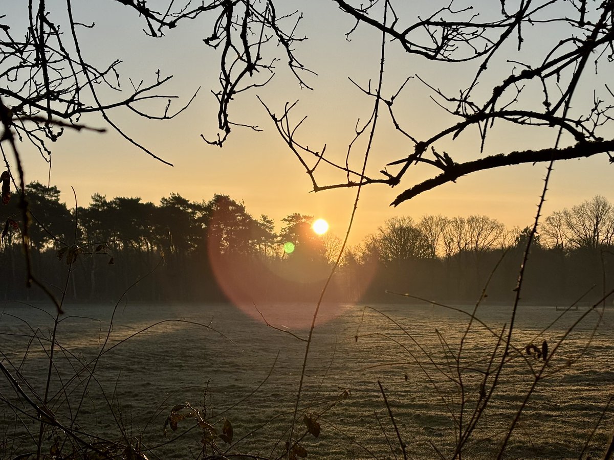 Iedere dag weer een kans oom opnieuw te beginnen. Goedemorgen. 
Ik begin met een wandeling. Eigenlijk moeten jullie de vogels kunnen horen!