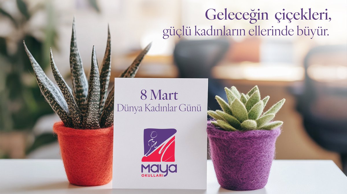 Maya Okulları tweet media