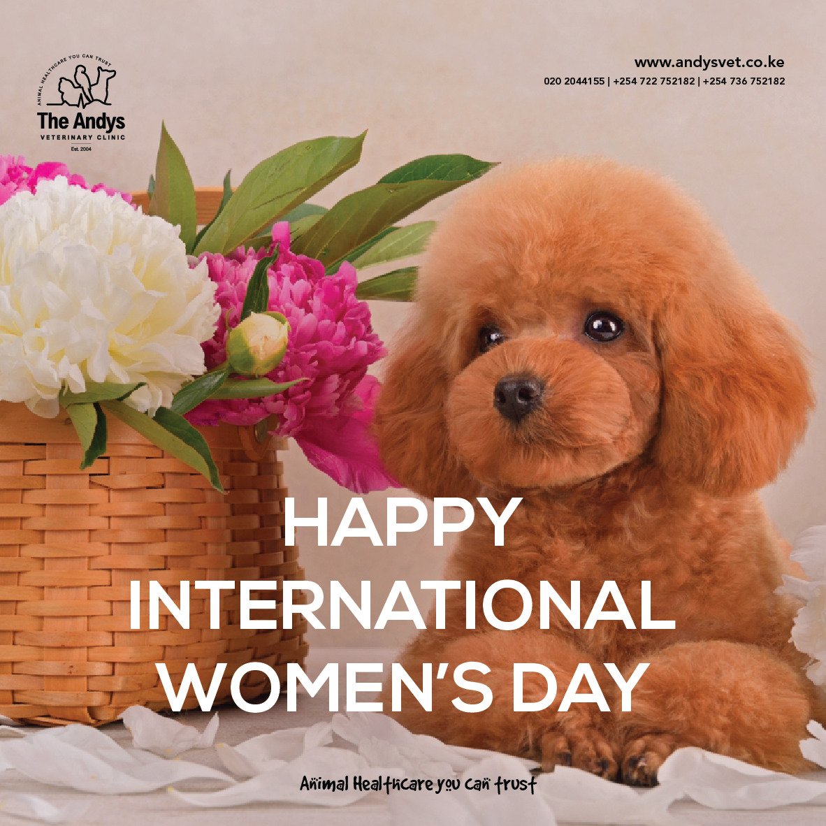 andysvetsurgery's tweet photo. You are an awesome mother, extraordinary daughter, incredible wife and a strong woman. Happy womens day ! https://t.co/7xNhrf72il