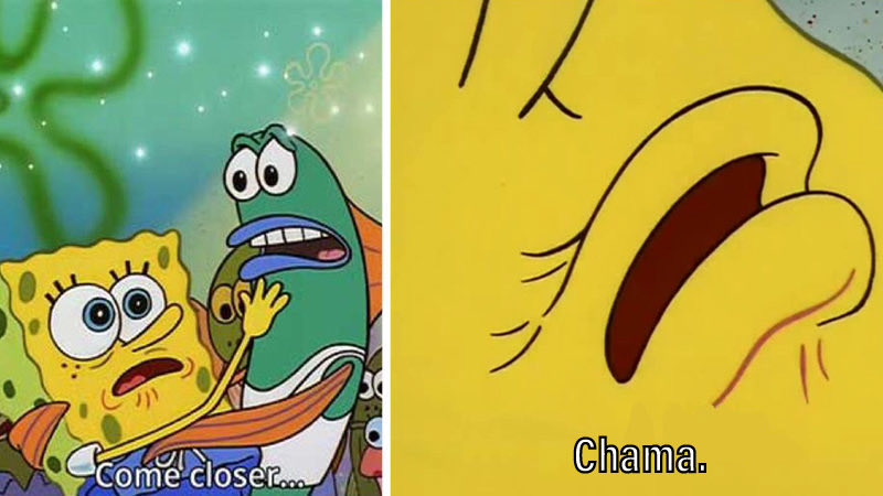 ConOfCombat's tweet image. happy fight day #UFC313