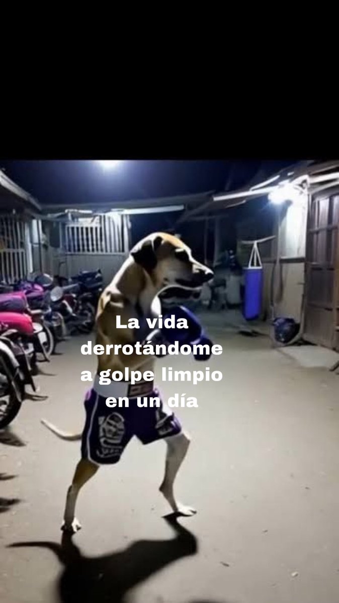 Ruzmart_'s tweet photo. ¿Y a qué conclusión llegamos? La vida me vuelve a recordar que no puedo ser feliz y me lo demuestra derrotándome, haciendo que mi día termine de esa manera. https://t.co/NJEEpU6cDx