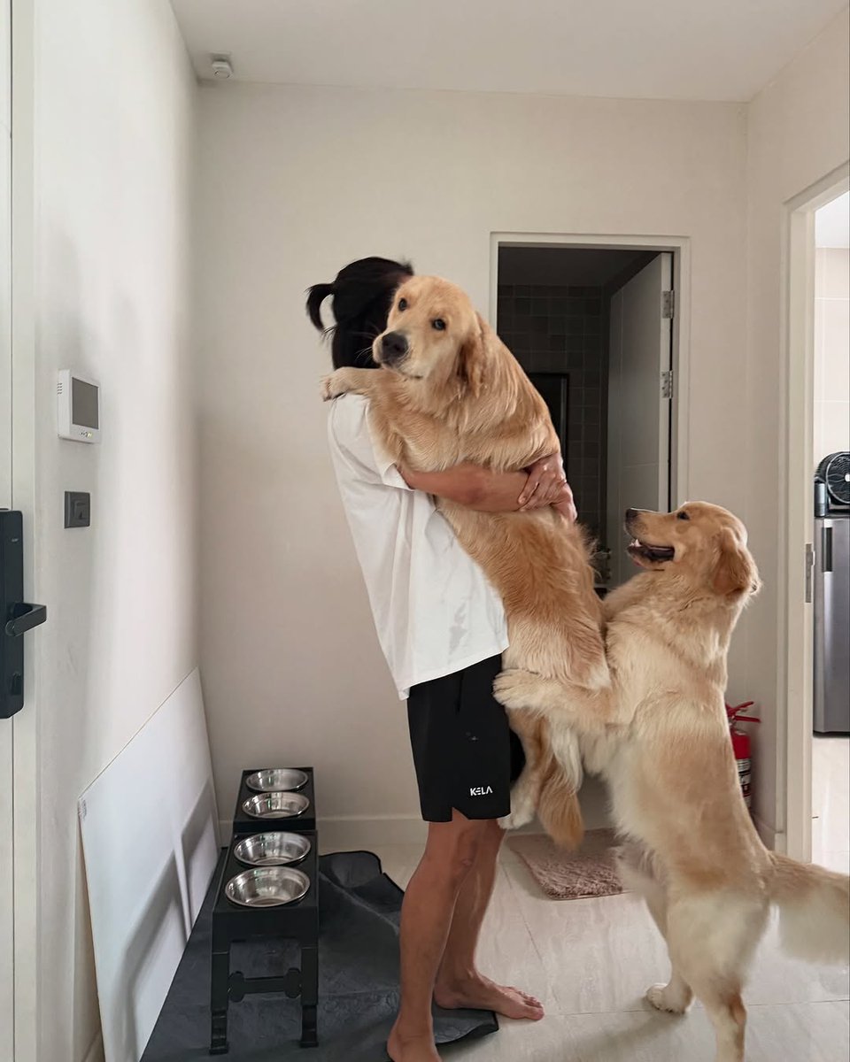 Ohmpawat_Family's tweet photo. ✨08.03.2025✨
IG : gold__denn Update

ตัวเล็กแค่นี้ 🤏🏻🐶🐶

#gold__denn
#ohmpawat #ยิ้ม5พันของโอมภวัต https://t.co/yRigqvR51v