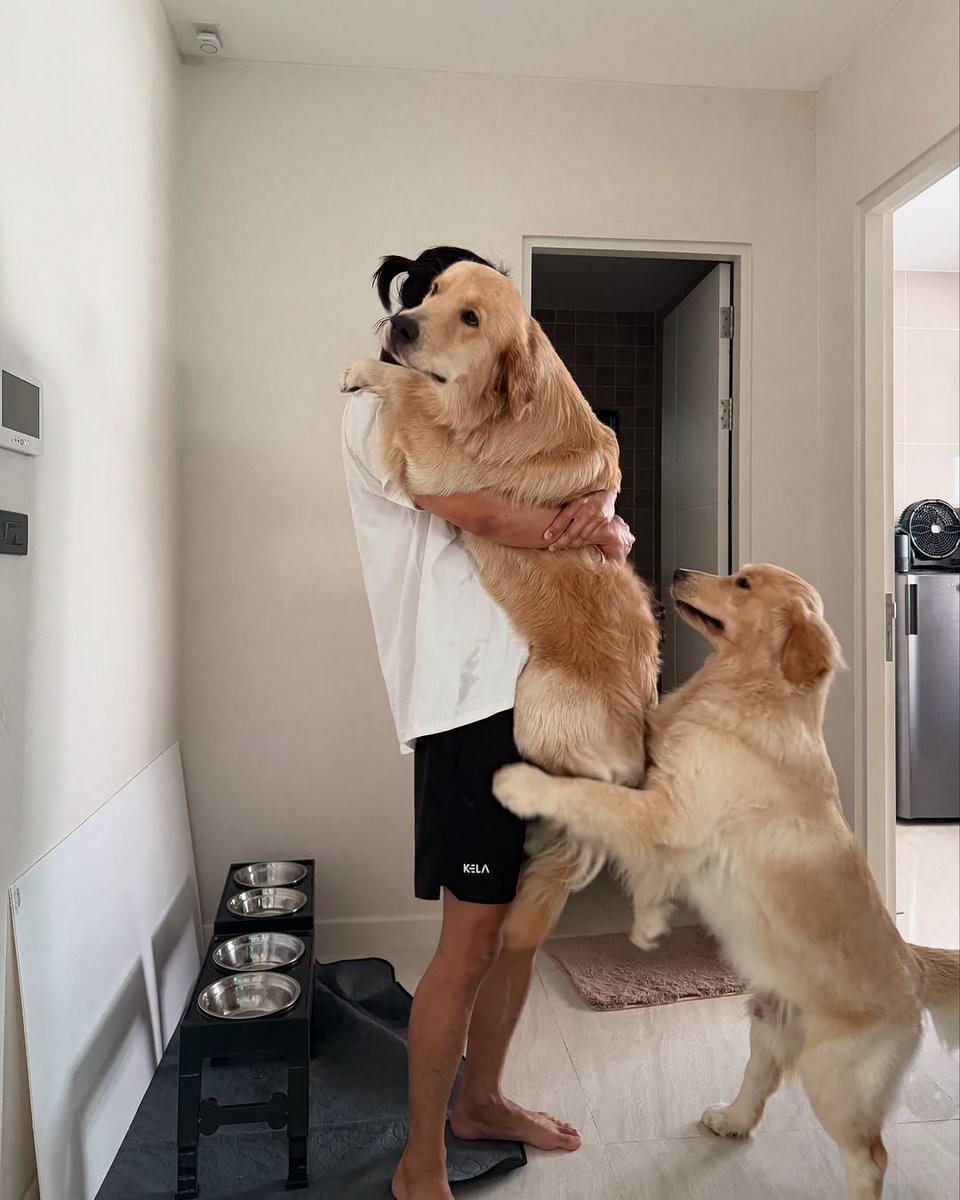 Ohmpawat_Family's tweet photo. ✨08.03.2025✨
IG : gold__denn Update

ตัวเล็กแค่นี้ 🤏🏻🐶🐶

#gold__denn
#ohmpawat #ยิ้ม5พันของโอมภวัต https://t.co/yRigqvR51v