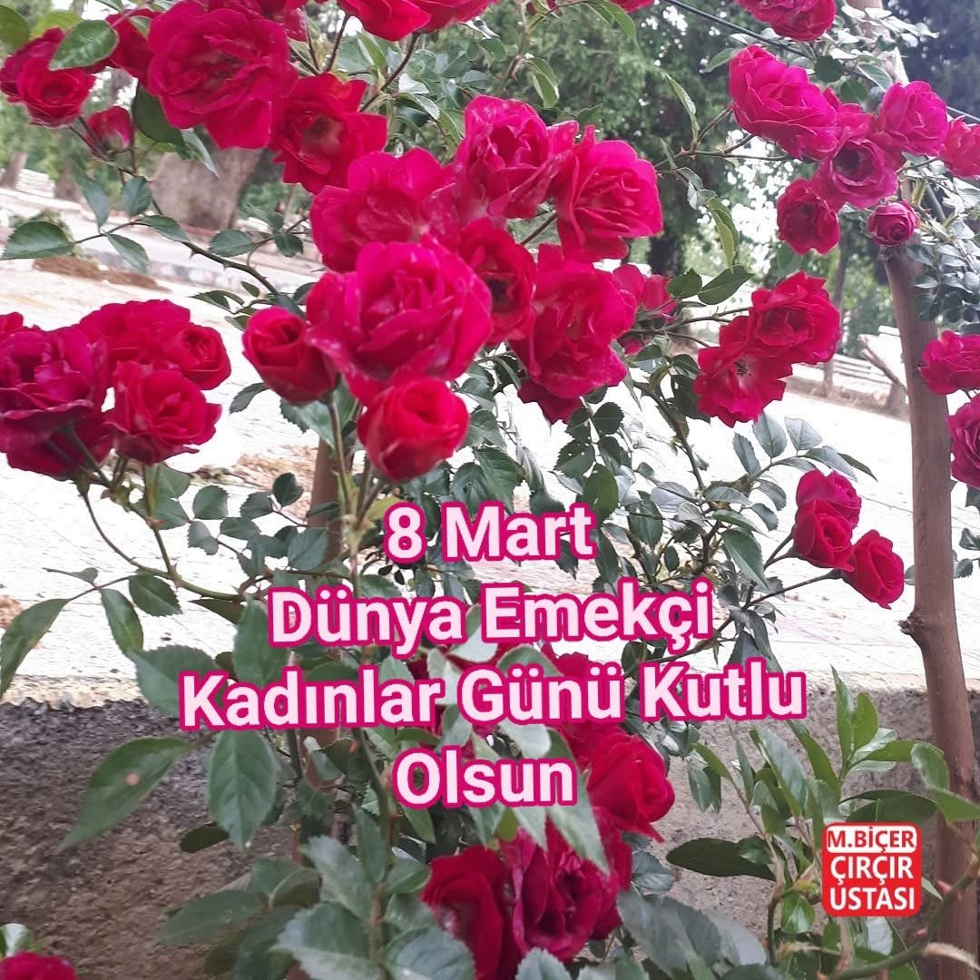 Günaydın tüm kadınların 8 mart dünya emekçi kadınlar Günü kutlu olsun. #8MartDünyaEmekçiKadınlarGünü