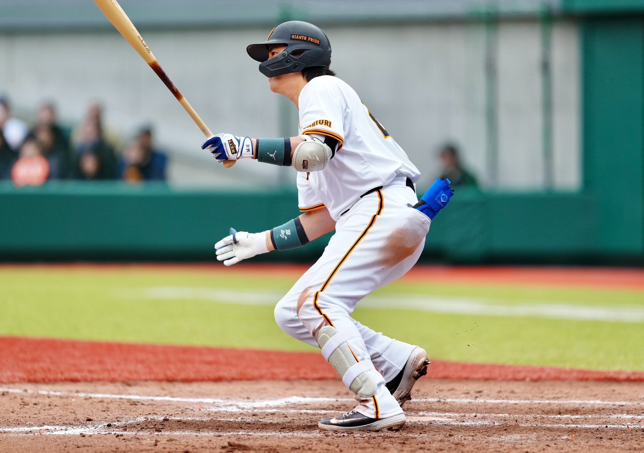 小林誠司 マスコット バット バッティンググローブ セット ジャイアンツ 巨人 小林誠司 マスコット バット バッティンググローブ セット