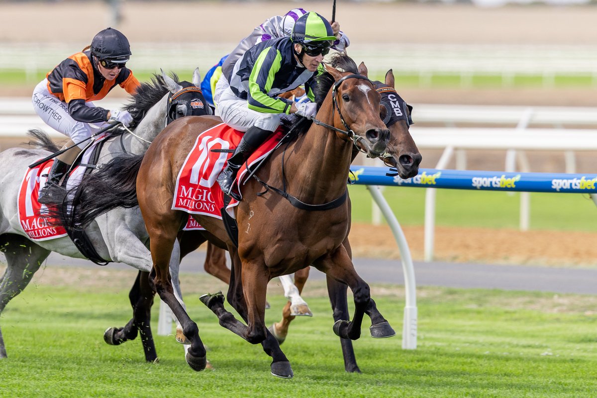 mmsnippets's tweet image. Shady Thinker (So You Think-Fifty Ways) went two from two and was brilliant in today's Magic Millions SA 3&amp;amp;4YO Classic at Murray Bridge for @aaronbainracing. The winner was a $50,000 Adelaide Yearling Sale buy for the stable from @CornerstoneStud draft. 
#ClassOf2023