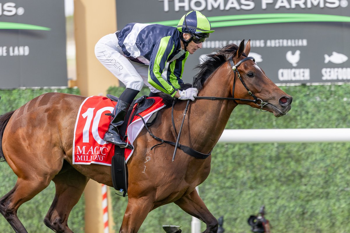 mmsnippets's tweet image. Shady Thinker (So You Think-Fifty Ways) went two from two and was brilliant in today's Magic Millions SA 3&amp;amp;4YO Classic at Murray Bridge for @aaronbainracing. The winner was a $50,000 Adelaide Yearling Sale buy for the stable from @CornerstoneStud draft. 
#ClassOf2023